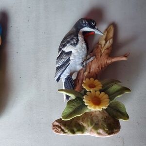 Downy Woodpecker By Andrea